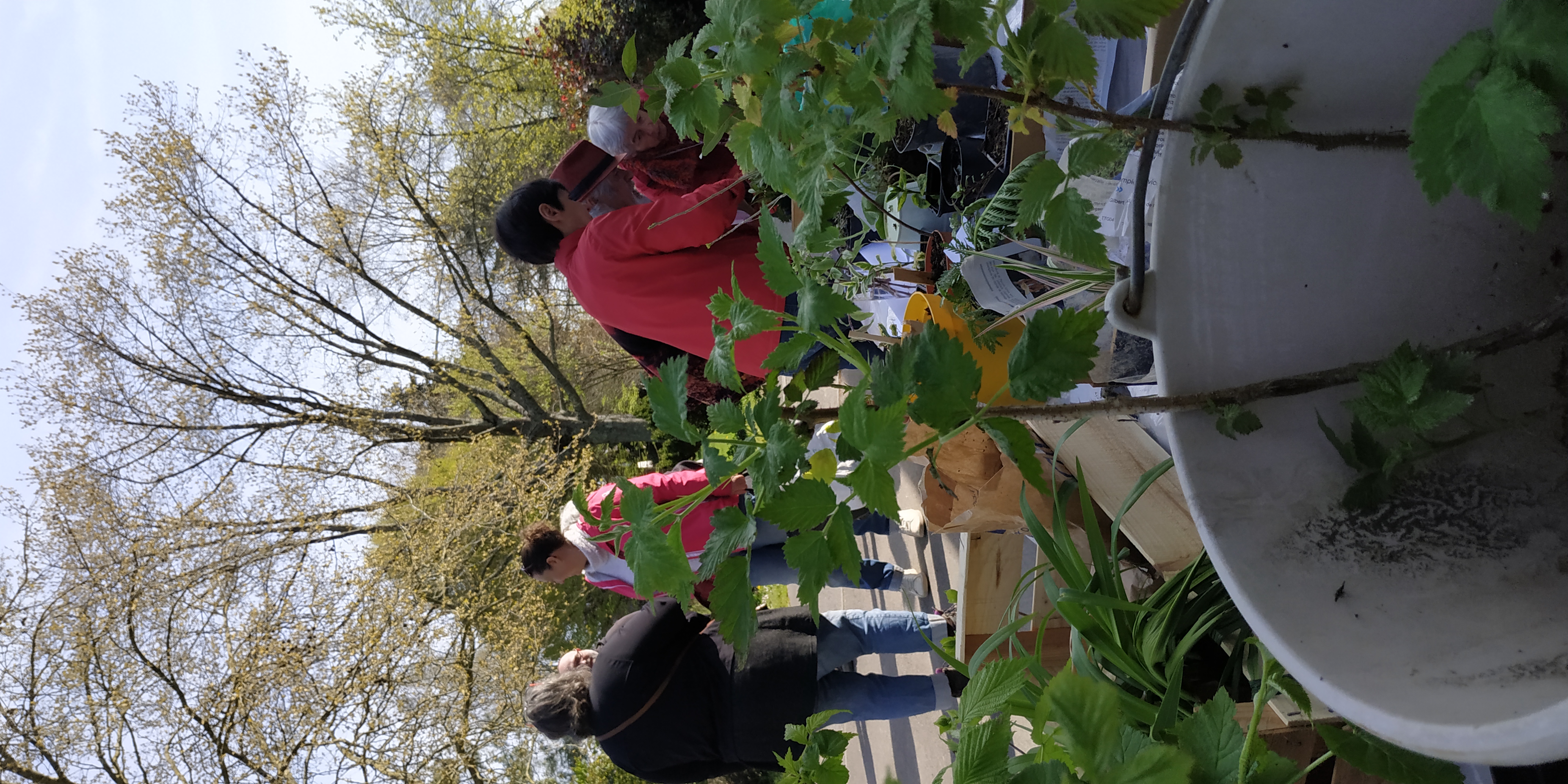 1681315040025 1681315040025